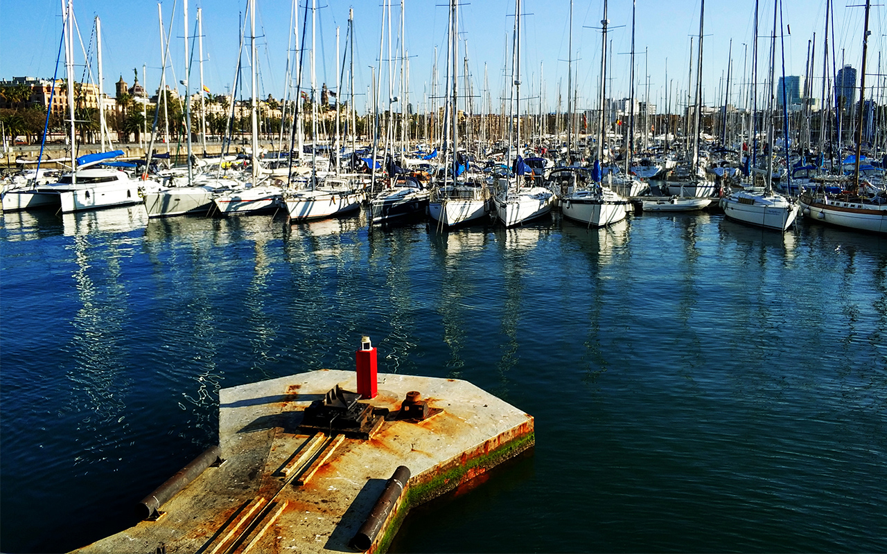 Shot on Mi 6 dual camera