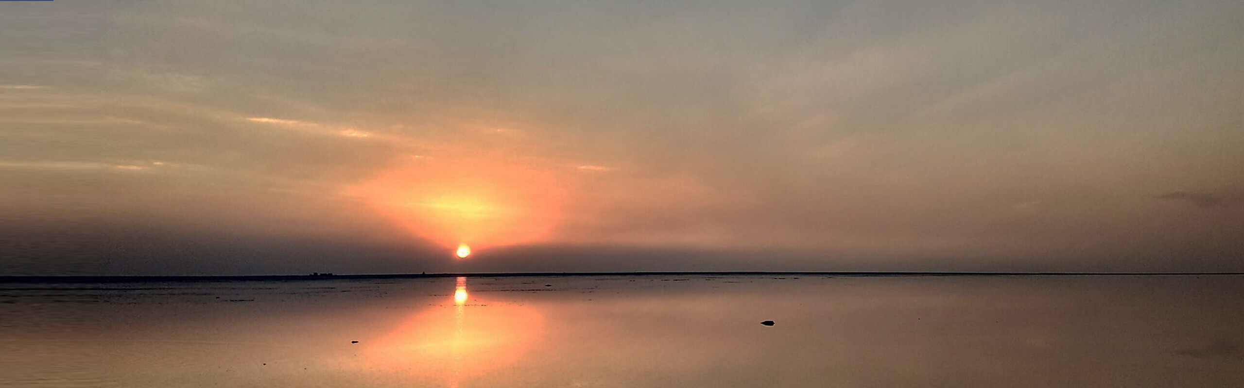 Capture life's brightest moments