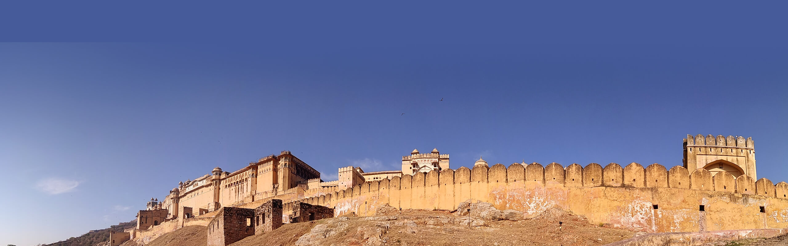 Capture life's brightest moments